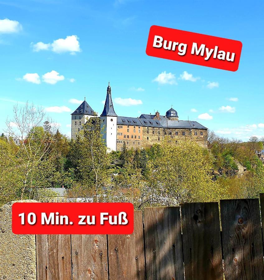 Ferienwohnung "Blick Mylau" - Naehe Freizeitpark Plohn & Weltgroesster Ziegelsteinbruecke Райхенбах-им-Фогтланд Екстериор снимка
