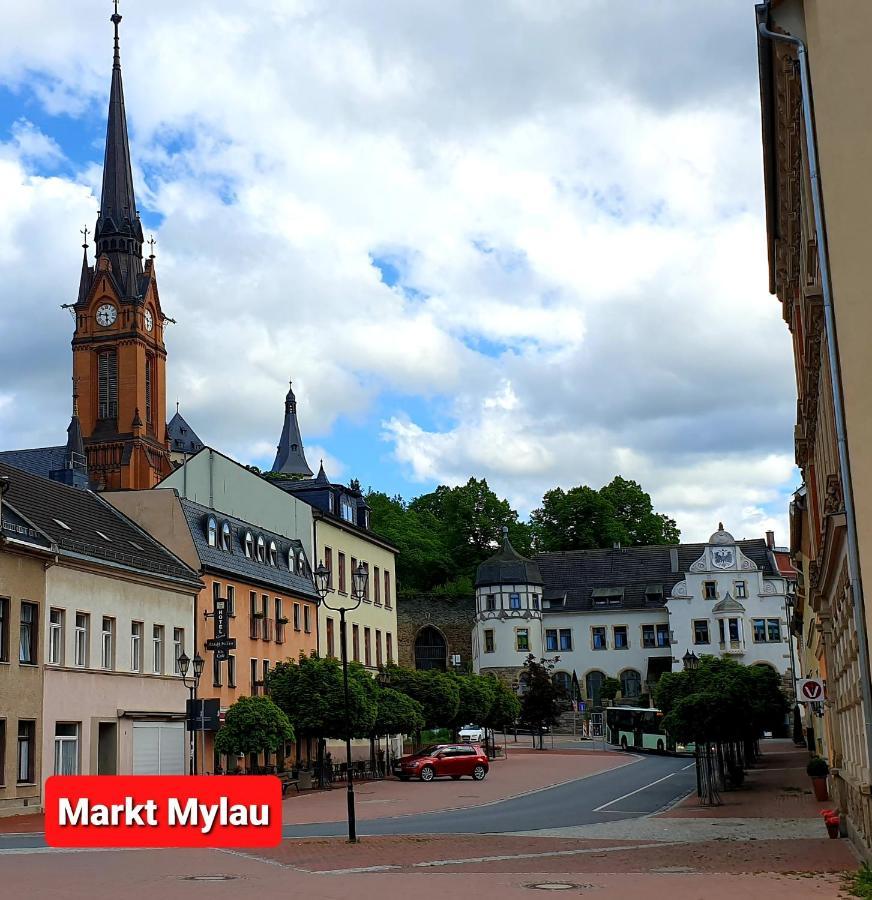 Ferienwohnung "Blick Mylau" - Naehe Freizeitpark Plohn & Weltgroesster Ziegelsteinbruecke Райхенбах-им-Фогтланд Екстериор снимка