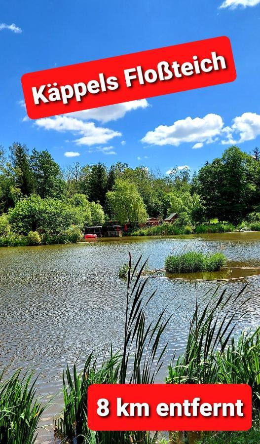 Ferienwohnung "Blick Mylau" - Naehe Freizeitpark Plohn & Weltgroesster Ziegelsteinbruecke Райхенбах-им-Фогтланд Екстериор снимка
