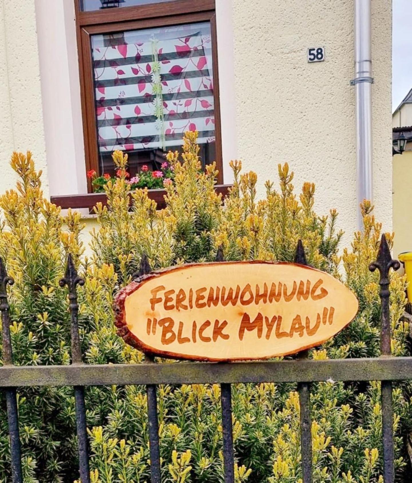 Ferienwohnung "Blick Mylau" - Naehe Freizeitpark Plohn & Weltgroesster Ziegelsteinbruecke Райхенбах-им-Фогтланд Екстериор снимка