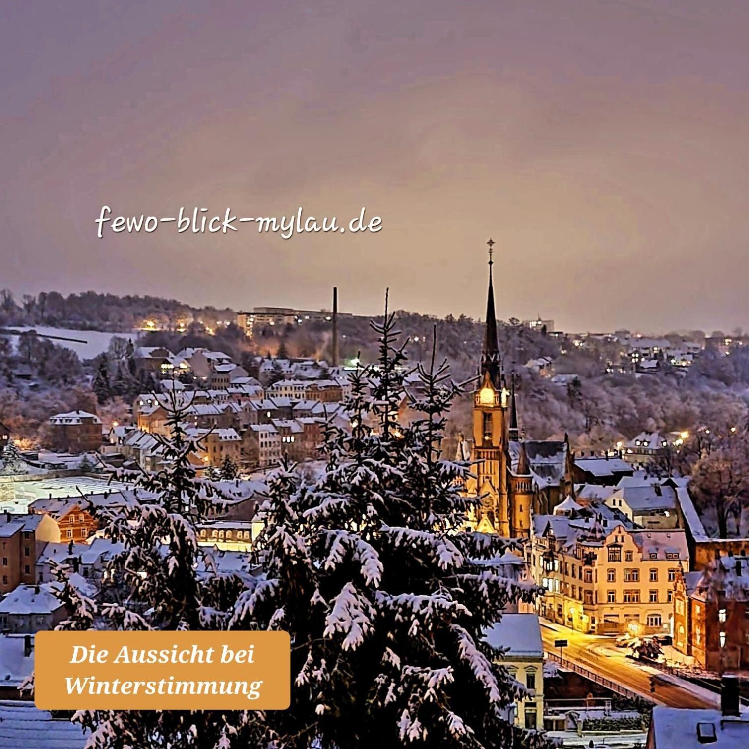 Ferienwohnung "Blick Mylau" - Naehe Freizeitpark Plohn & Weltgroesster Ziegelsteinbruecke Райхенбах-им-Фогтланд Екстериор снимка